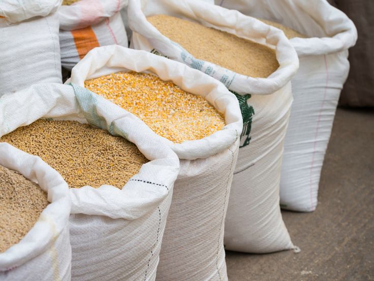 Premium animal feed solutions